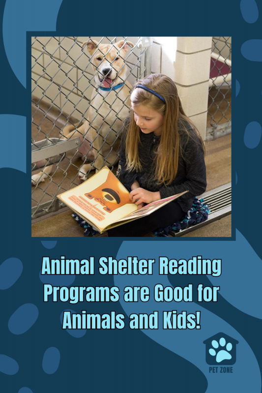 Animal Shelter Reading Programs are Good for Animals and Kids!