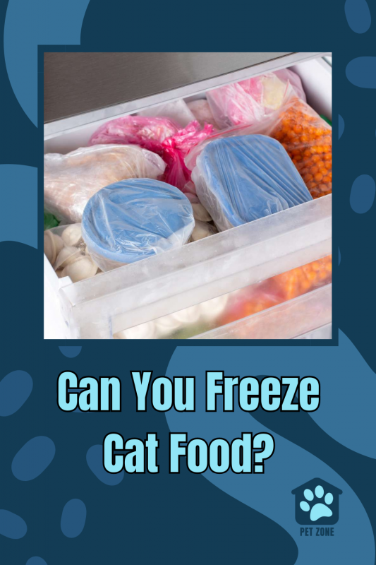 Can You Freeze Cat Food?