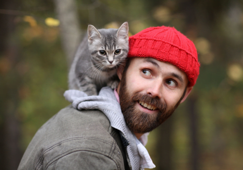 cat perched on a man's back