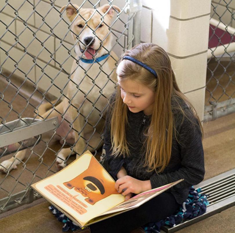 girl reading to shelter dog