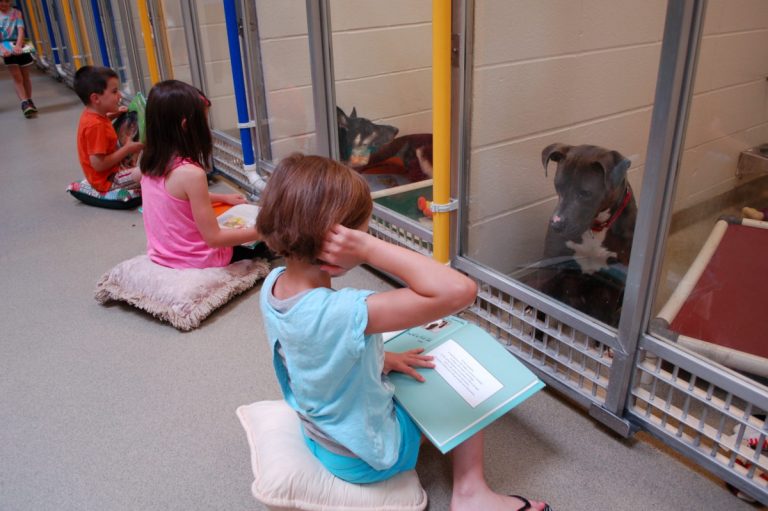 Animal Shelter Reading Programs are Good for Animals and Kids!