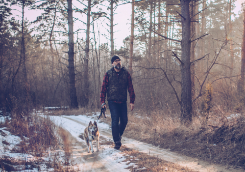 man walking his dog in the woods