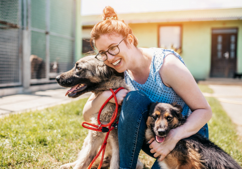 woman with two dogs at animal shelter