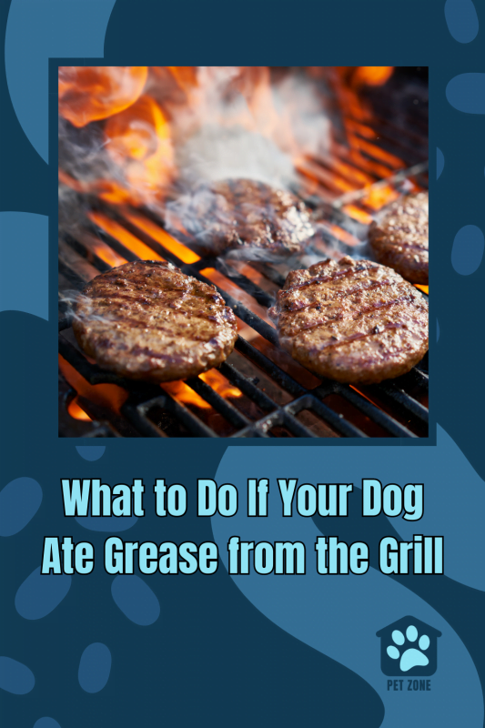 What to Do If Your Dog Ate Grease from the Grill