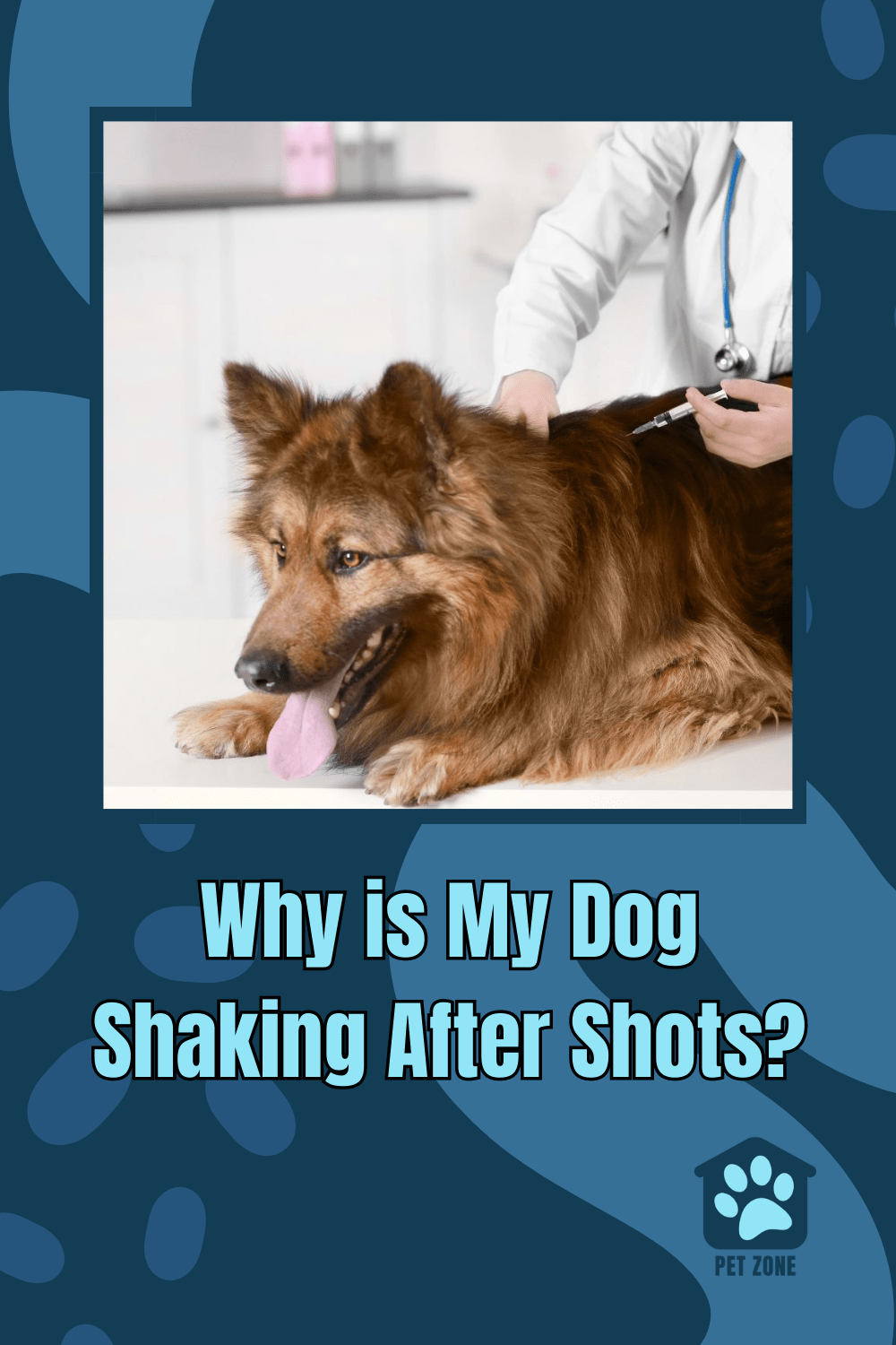 Why is My Dog Shaking After Shots?