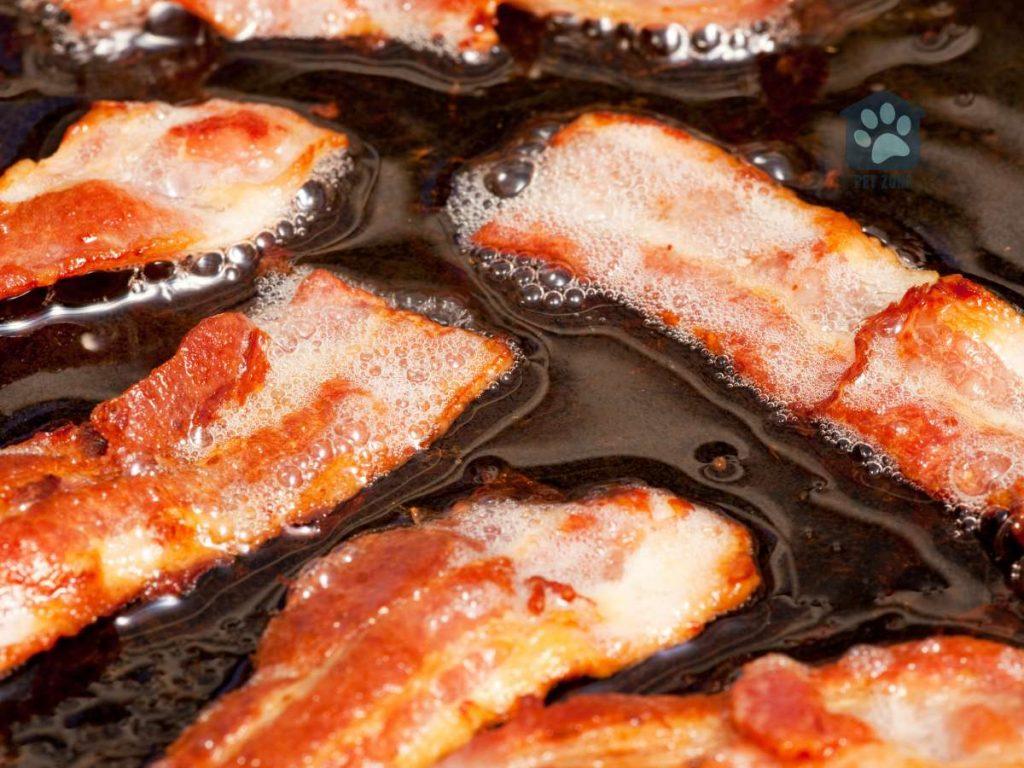 sizzling bacon grease