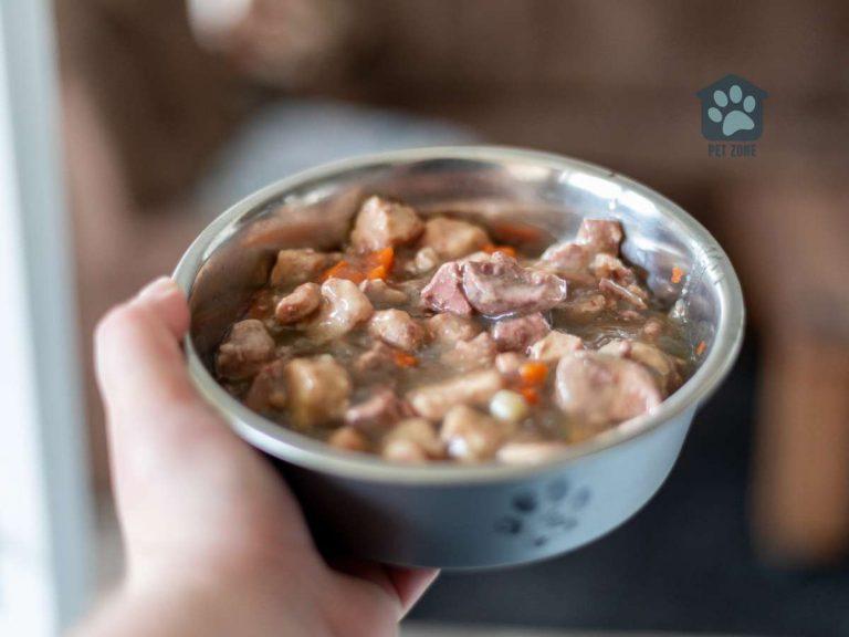 Can You Heat Up Canned Dog Food?