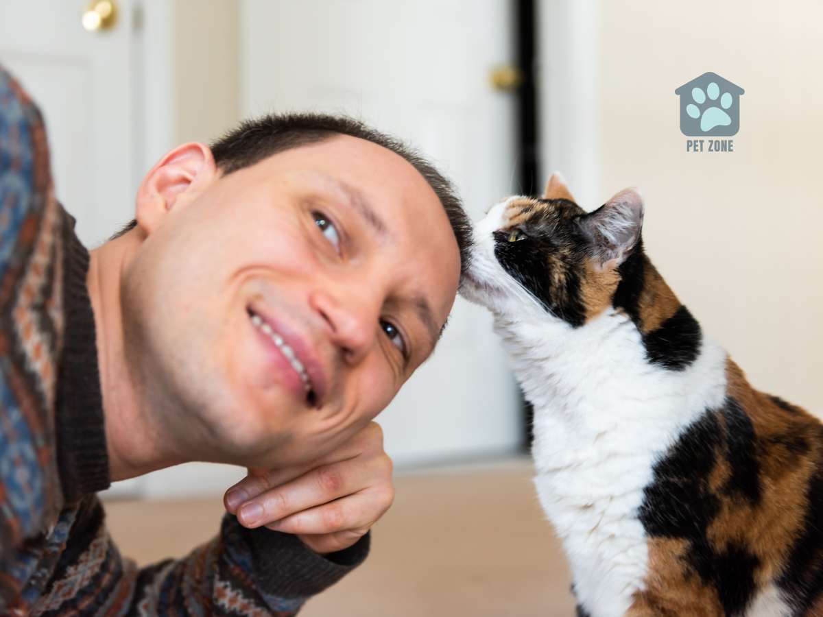 cat sniffing a man's head