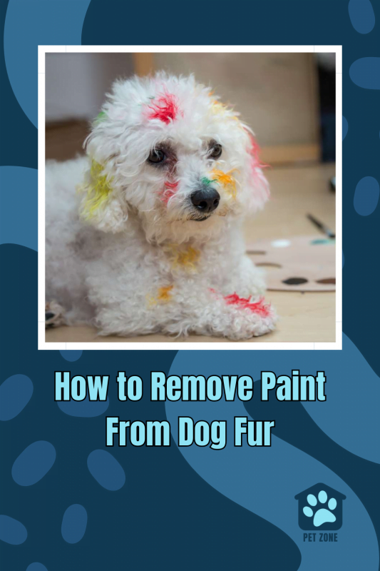 How to Remove Paint From Dog Fur