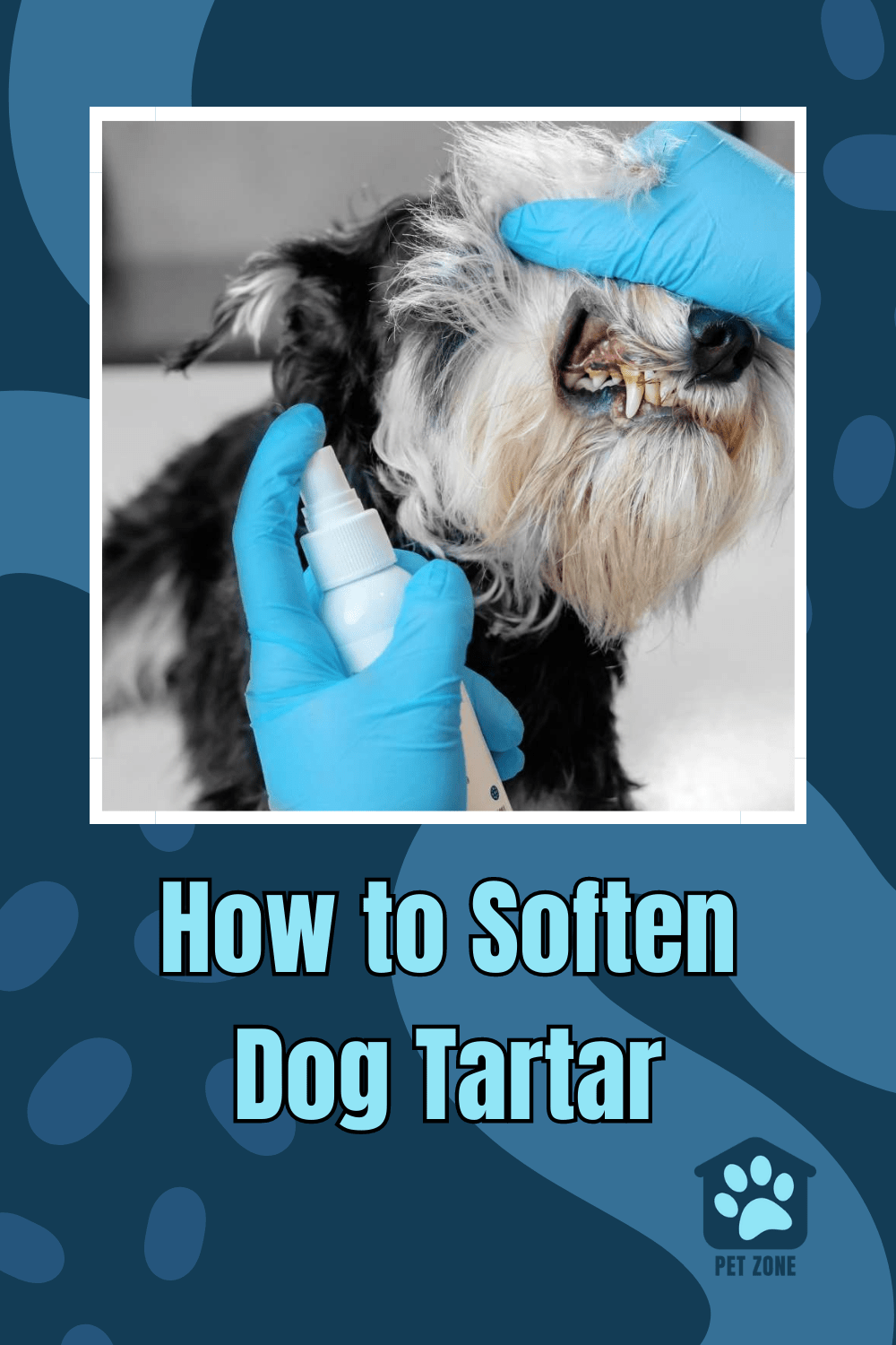 How to Soften Dog Tartar