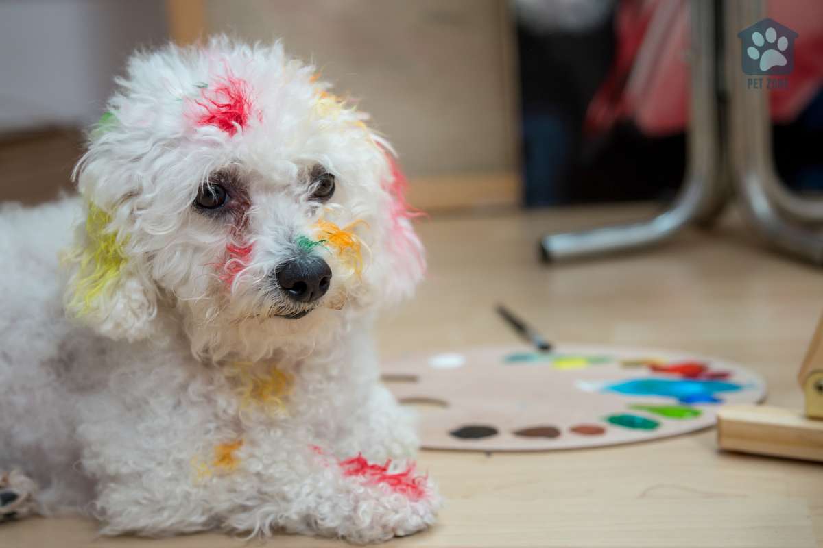 white dog covered in paint