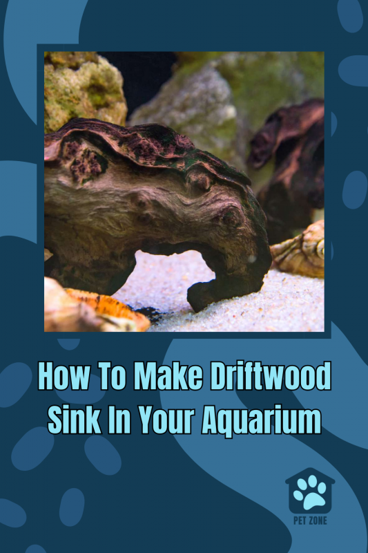 How To Make Driftwood Sink In Your Aquarium