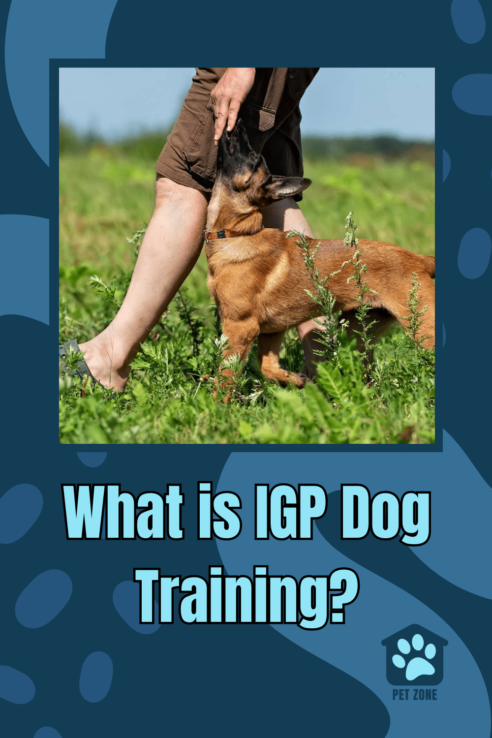 What is IGP Dog Training?