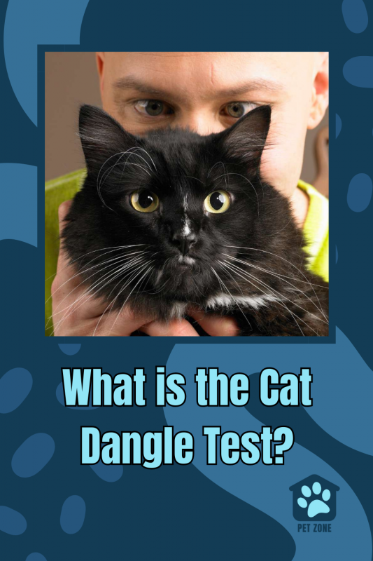 What is the Cat Dangle Test?