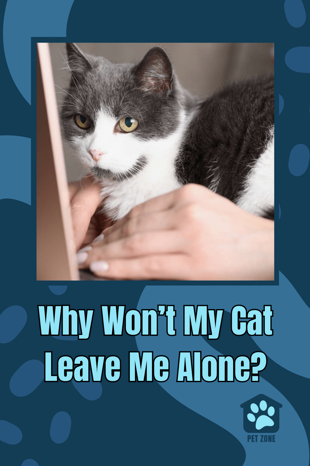 Why Won\'t My Cat Leave Me Alone?