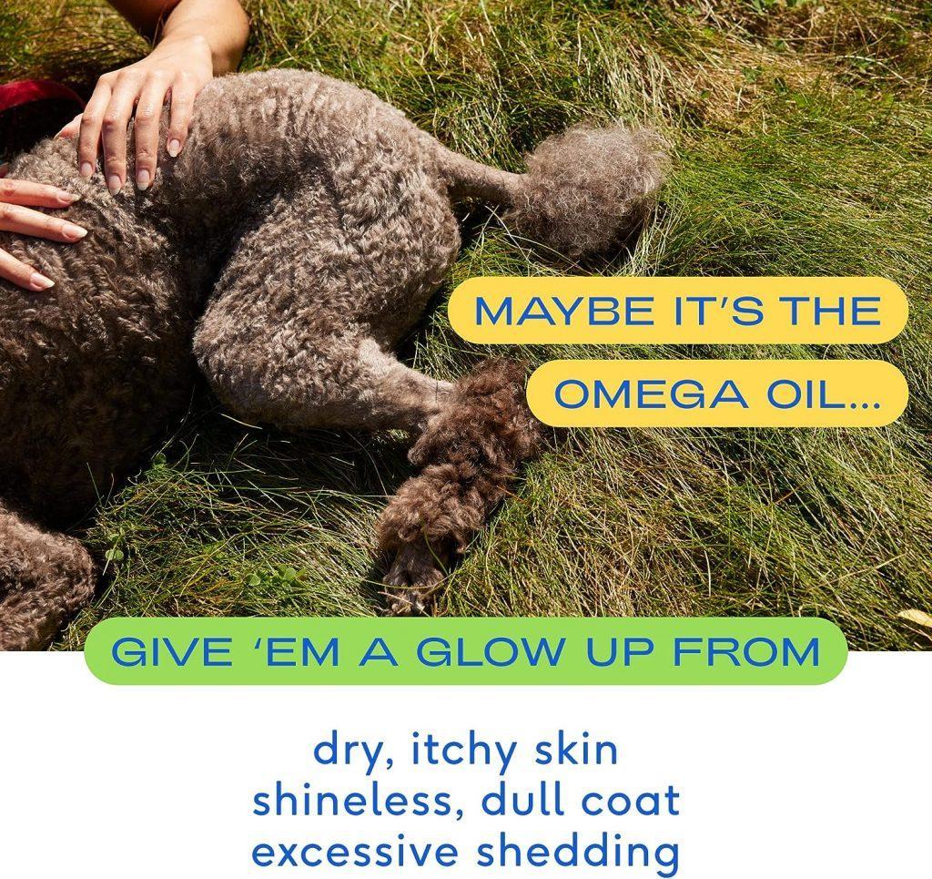 Native Pet Omega Oil for Dogs - Dog Fish Oil Supplements with Omega 3 EPA DHA - Supports Itchy Skin + Mobility - Omega 3 Fish Oil for Dogs Liquid Pump is Easy to Serve - a Fish Oil Dogs Love! (8 oz)