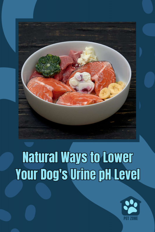 Natural Ways to Lower Your Dog\'s Urine pH Level