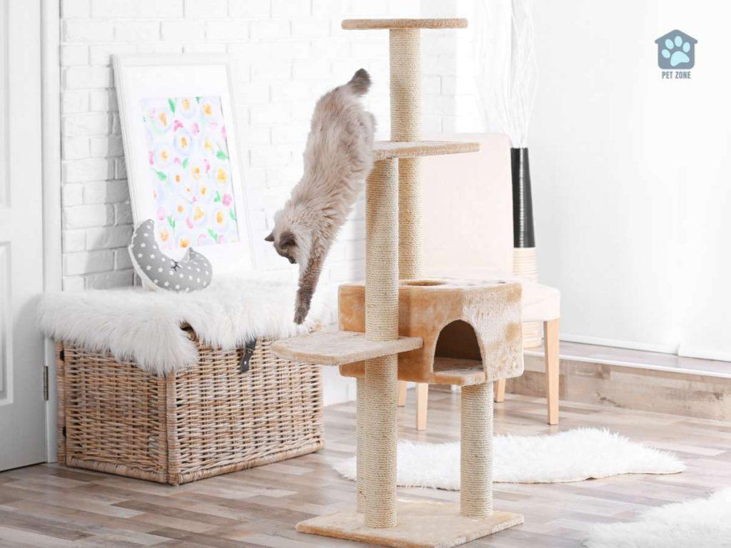 cat hanging down from cat tree