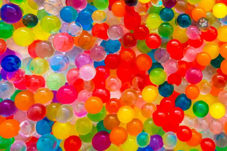 Are Orbeez Toxic to Dogs?