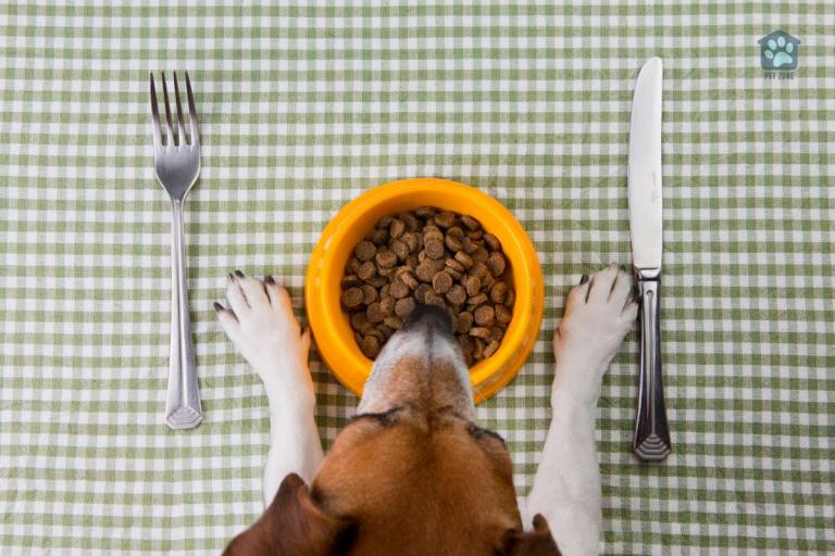 What Is Chicken Meal In Dog Food?
