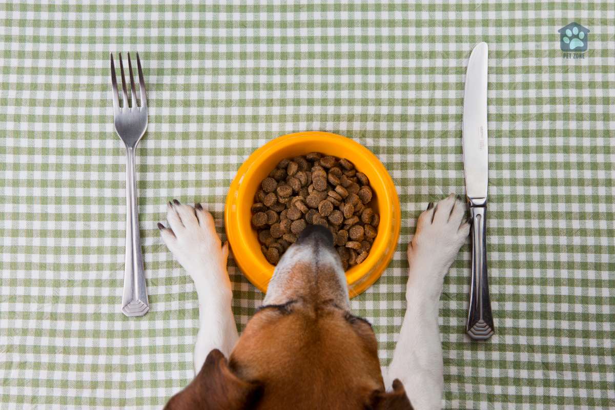dog food on table with knife and fork