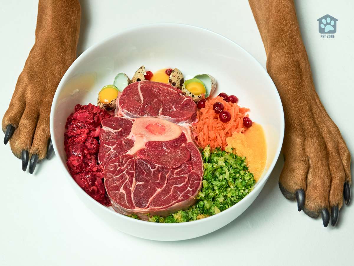 dog paws around bowl of raw food