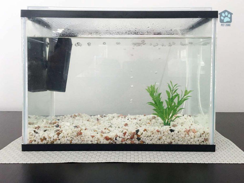 fish tank with water condensation on walls