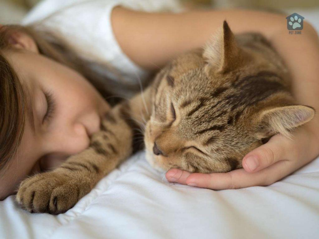 young girl asleep with her cat