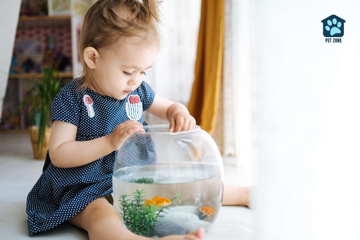 child feeding goldfish