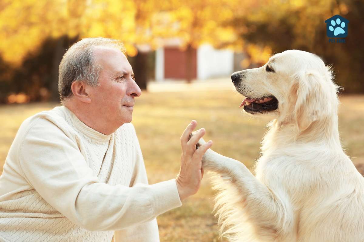man and dog touching hand and paw