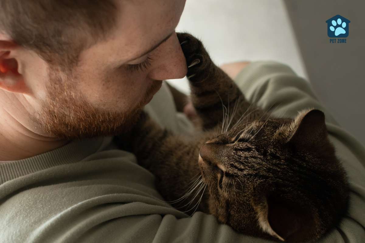 owner holding cat close to face