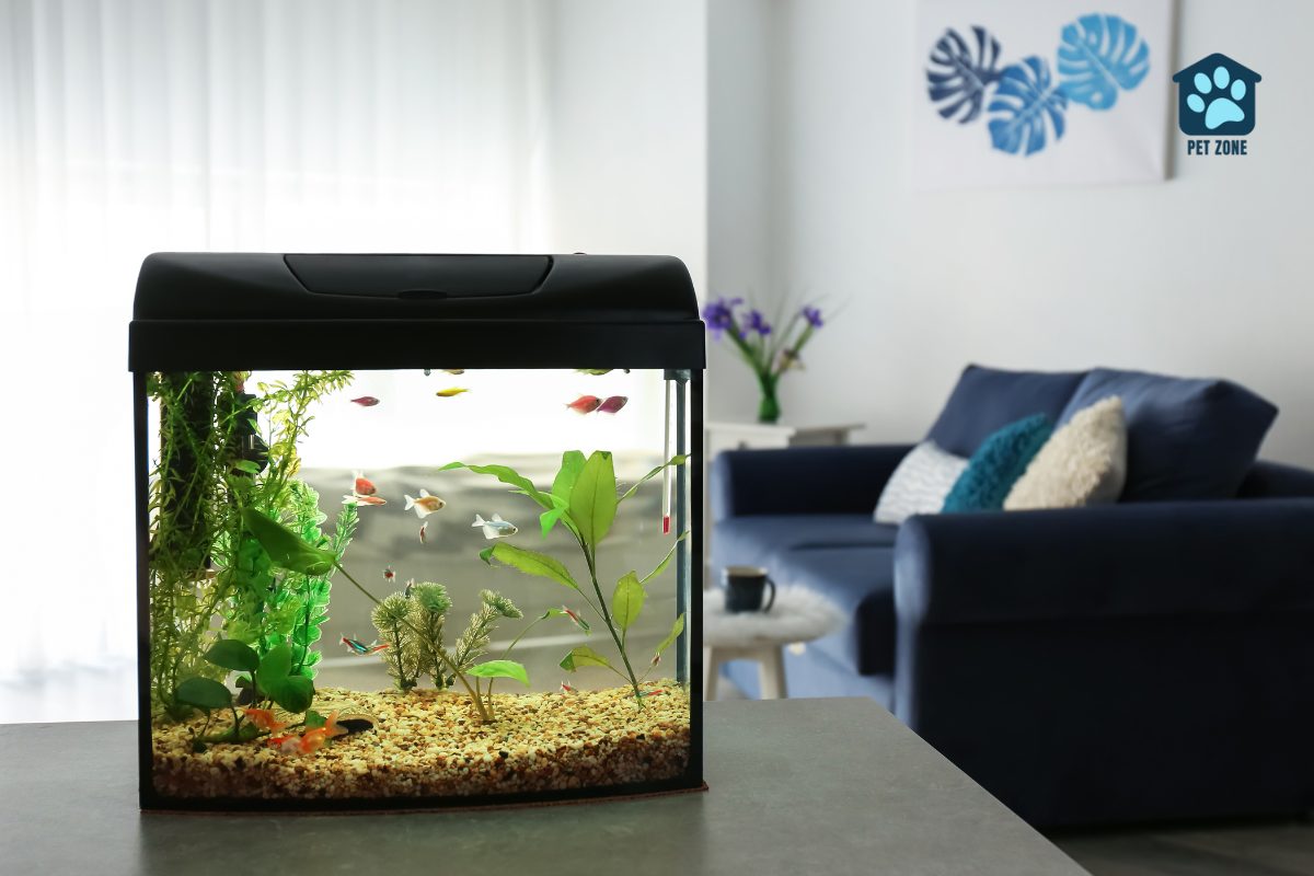 small aquarium with fish on table in living room