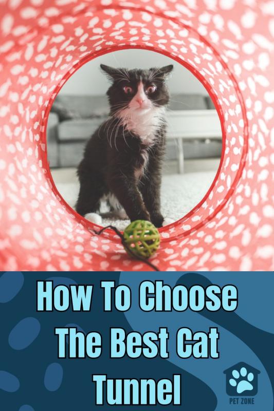 How To Choose The Best Cat Tunnel