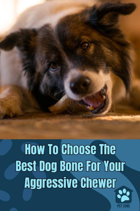 How To Choose The Best Dog Bone For Your Aggressive Chewer