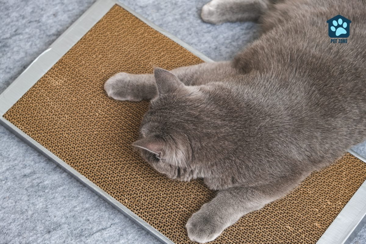 cat laying on scratching pad