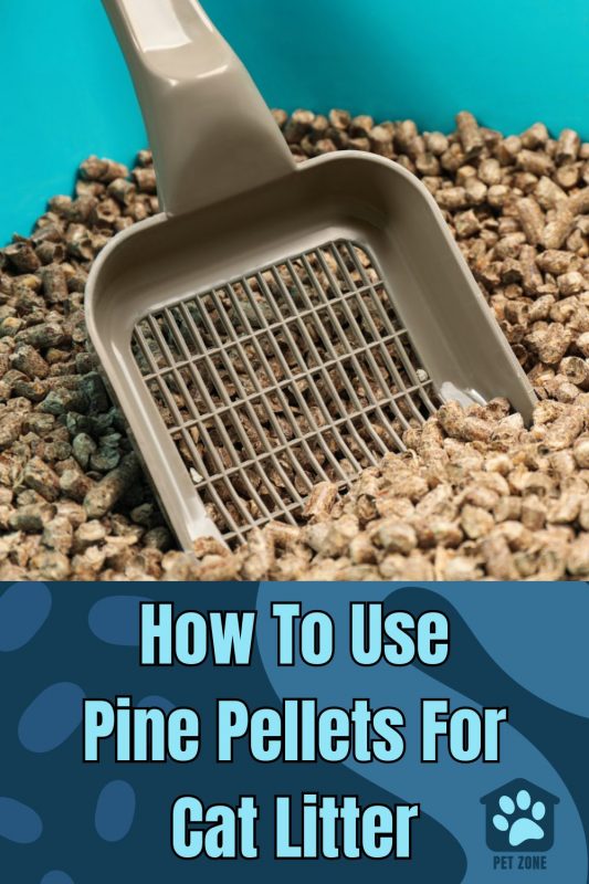 How To Use Pine Pellets For Cat Litter