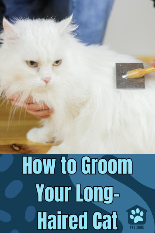 How to Groom Your Long-Haired Cat