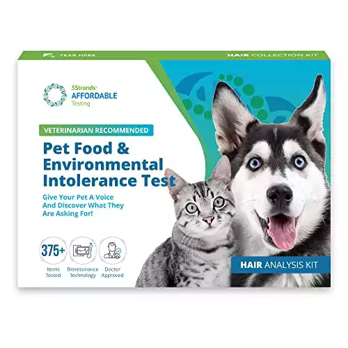 5Strands Pet Food and Environmental Intolerance Test for Dogs and Cats