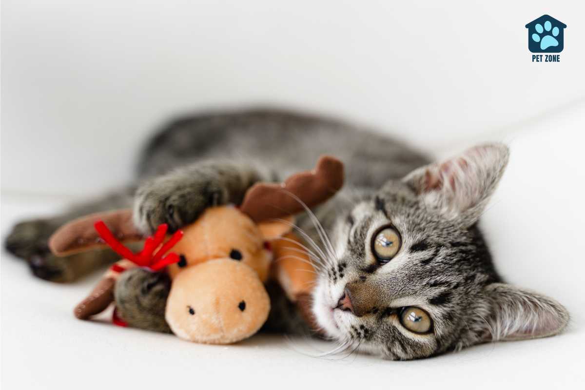 cat laying down with toy between arms