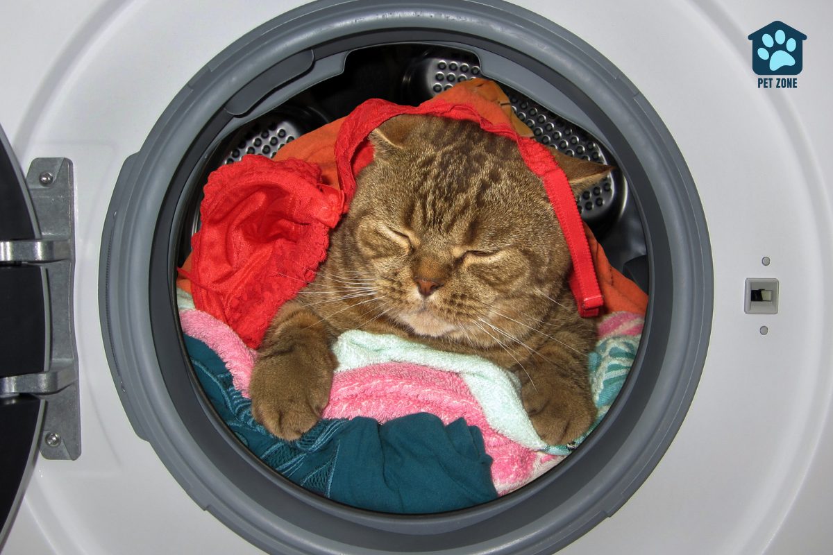 cat sleeping on clothes in washing machine