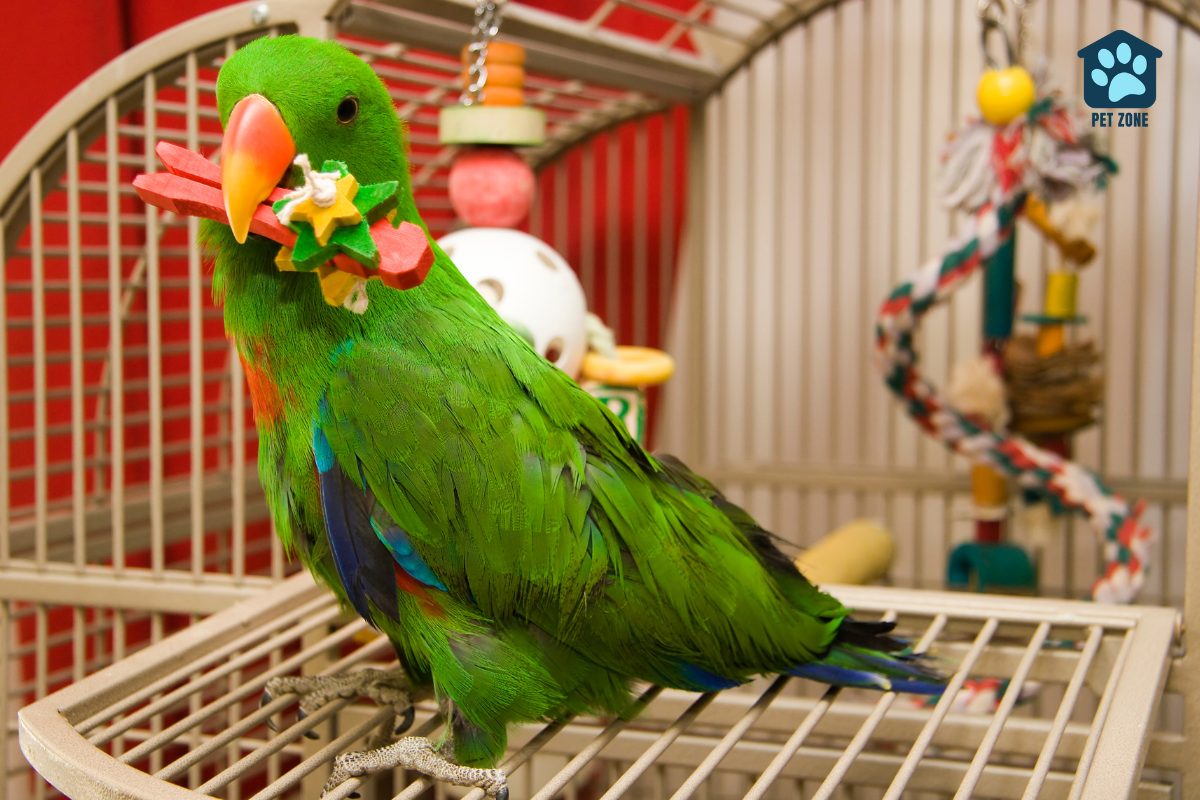 green parrot with toy in mouth