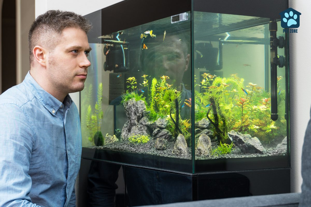 man examining his aquarium