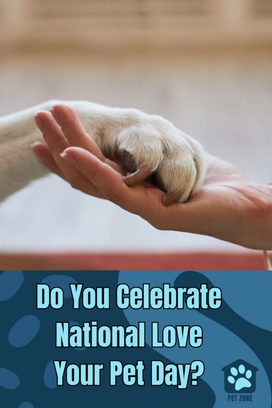 Do You Celebrate National Love Your Pet Day?