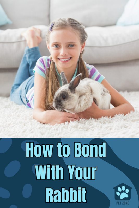 How to Bond With Your Rabbit
