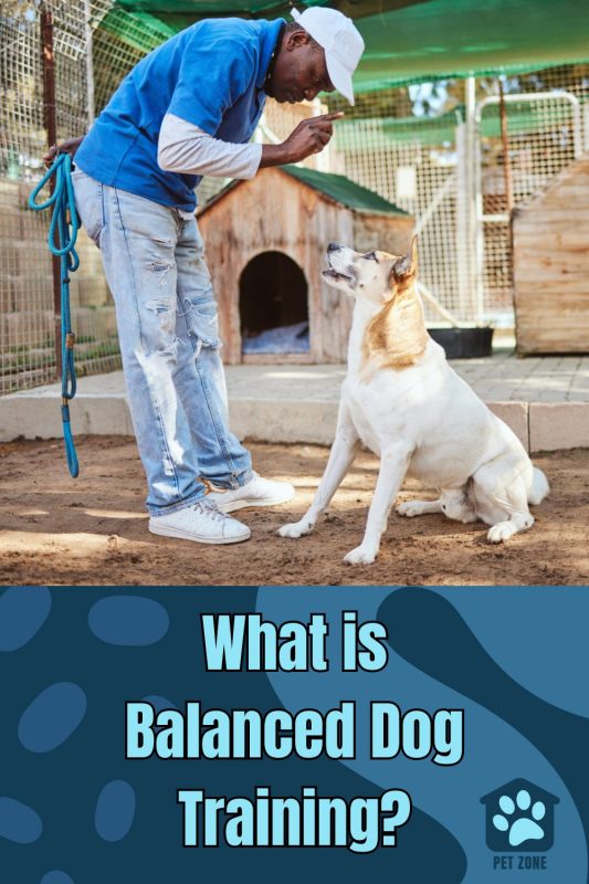 What is Balanced Dog Training?