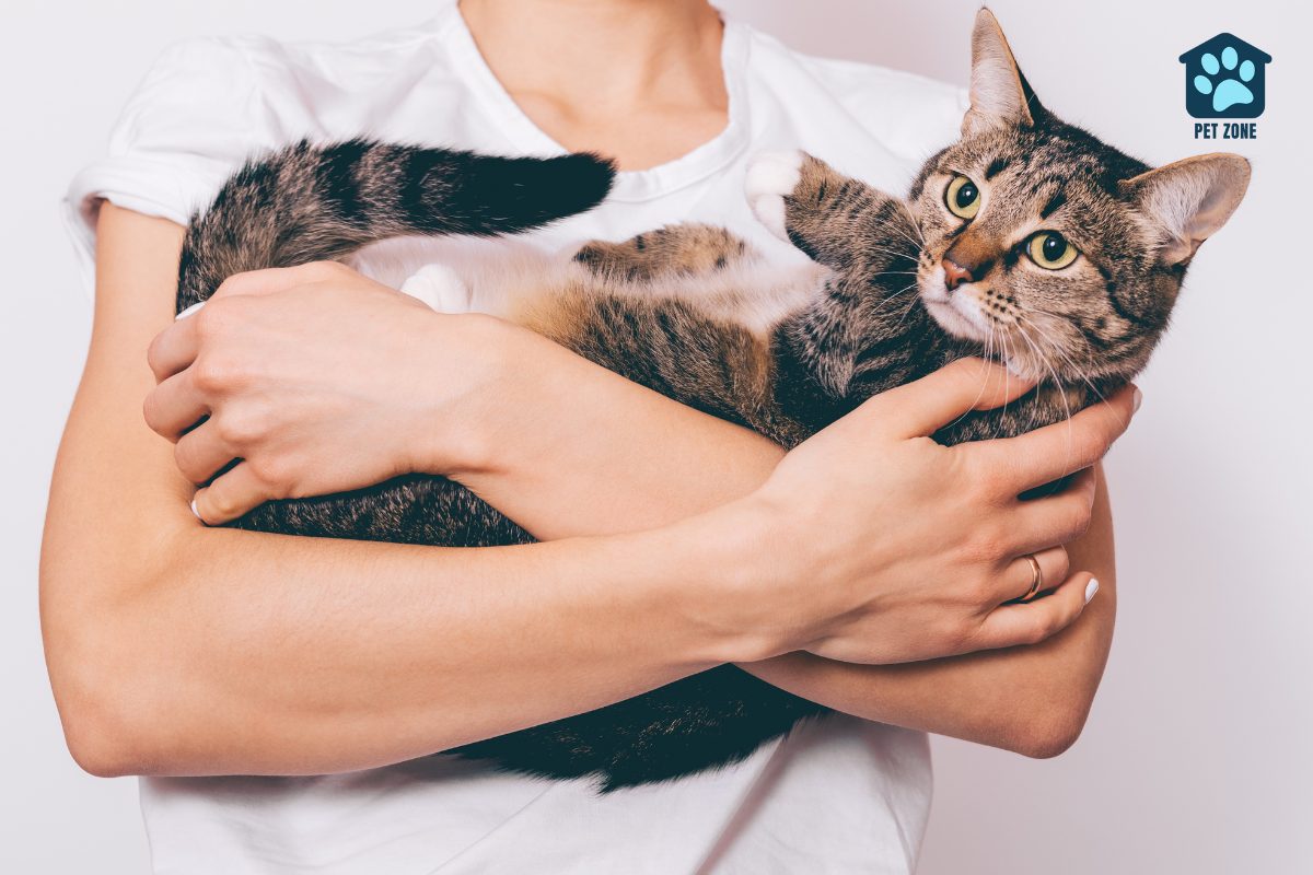 owner holding cat in her arms