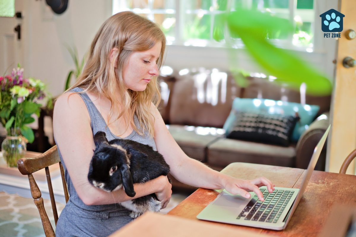 woman using laptop while holding her pet rabbit