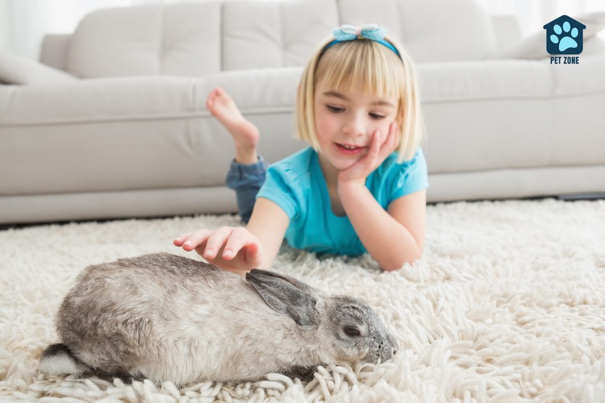 young girl petting rabbit on rug