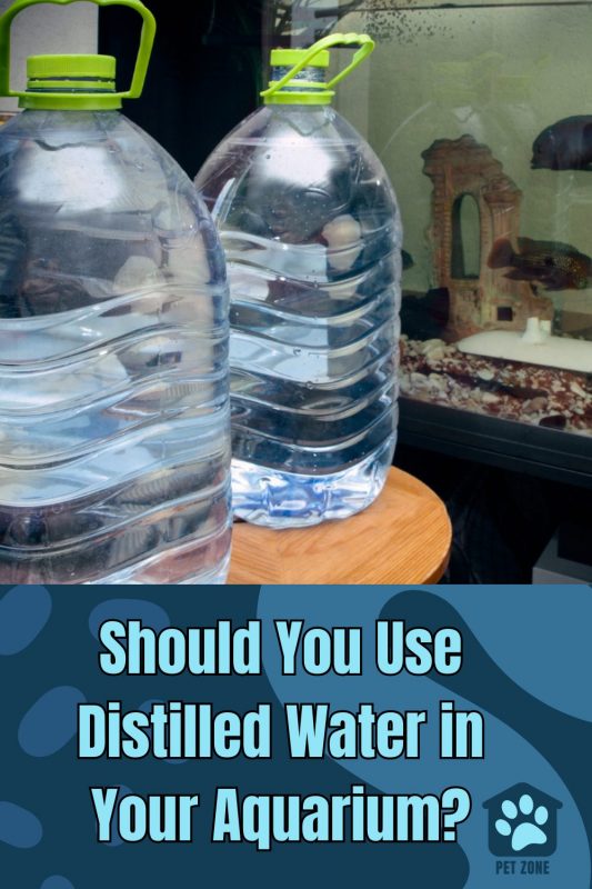 Should You Use Distilled Water in Your Aquarium?