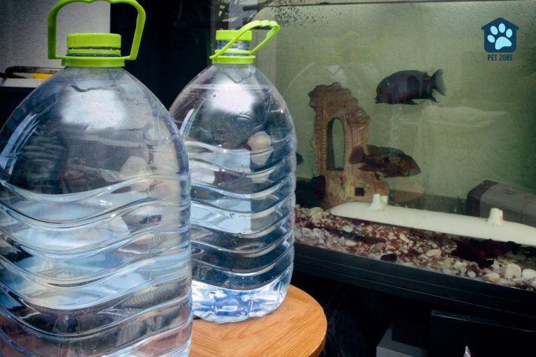 distiller water bottles in front of aquarium